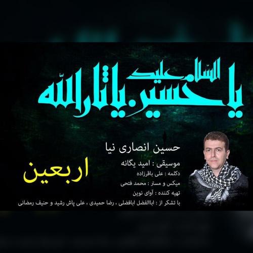 حسین انصاری نیا اربعین
